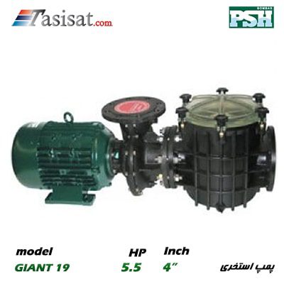 پمپ استخری PSH سری GIANT قدرت 5.5 اسب مدل GIANT 19